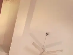Amateur Watch Live Sex Cams of ParisGrayy