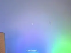 Amateur Nude Webcam of carol_blonde