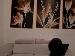 Amateur Live Sex of LiamCarter