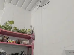 Amateur Sex Chat of mariecam