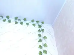 Amateur Free Porn Cam of amandacanelacm