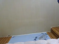 samirapalacios from amateur