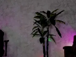 Amateur Best live sex cam show of emma77