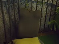 Amateur Free Porn Cam of Diosa_Cadenas