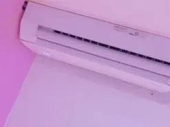 Amateur Live Sex of AndreaSweet2