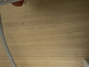 Bongacams Adult Webcam of Asiankitties