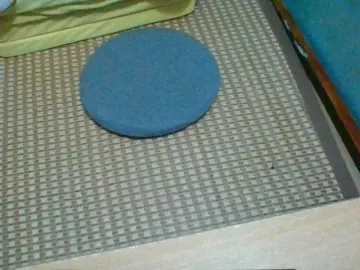 Bongacams Live Sex Cam of Anamis