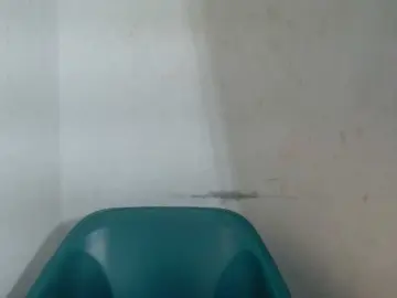 Bongacams Free Porn Cam of Sugarxpussy