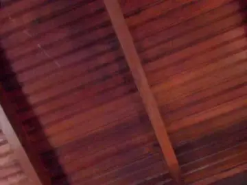 Bongacams Best Webcam of sophi-star