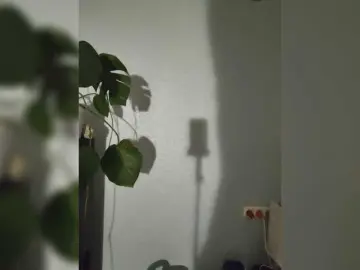 Bongacams Adult Video Chat of Spring-Water