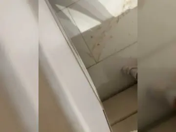 Bongacams Sex Cam of Su-Velvet