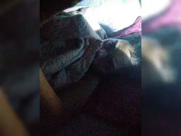 Bongacams Sex Cam of XXhornywetprincess99XX