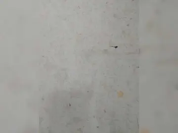 Bongacams Live Porn of XXhornywetprincess99XX