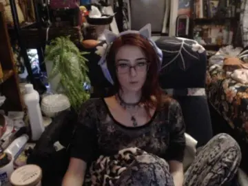 Bongacams Best Webcam of pussyxpaladin