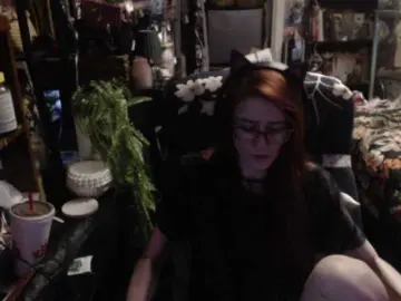 Bongacams Live Porn of pussyxpaladin