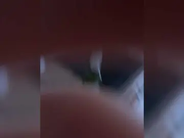 Bongacams Live Sex Cam of KATALINAcherry1