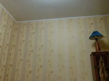 Bongacams Adult Webcam of Valenttijm3851