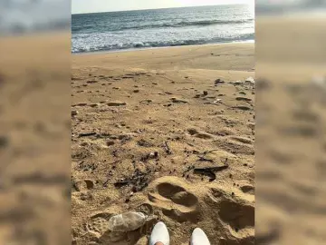 Bongacams Sex Cam of BeautifulDame