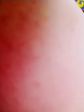 Cam4 Free Porn Cam of Flopaaf