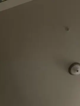 Cam4 Sex Chat of bubblegumpussy2