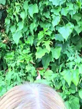 Cam4 Sex Cam of orchideahot