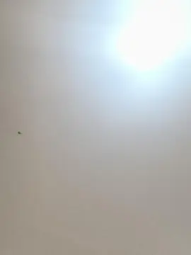 Cam4 Sex Chat of Daddyslut4u