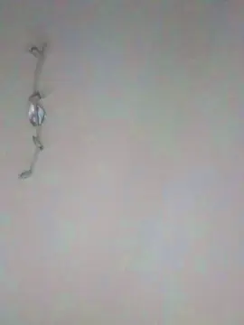 Cam4 Free Live Porn of Adelaide986