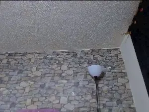 Cam4 Live Porn of andrea_lovely