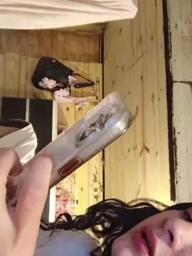 Cam4 Live Porn of tin4aa0