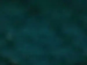_Michell69 from cam4