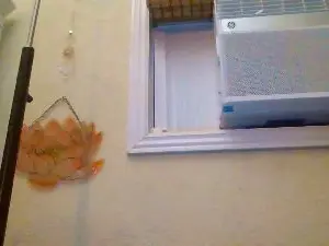 Cam4 Free Porn Cam of QueenCrimson