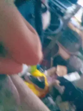 Cam4 Private Sex Chat of Slut__Muffin