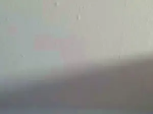 Cam4 Live Porn of cleophee