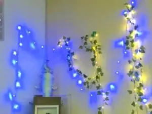 Cam4 Live Sex of Little_Eva