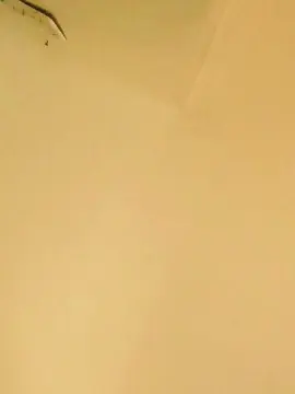 Cam4 Best Webcam of margot30