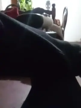 Cam4 Free Live Porn of Parejareal86