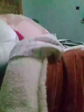 Cam4 Adult Video Chat of Scarlet699