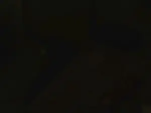 Cam4 Free Porn Cam of reifedame59