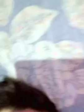 Cam4 Best live sex cam show of Heyde2026