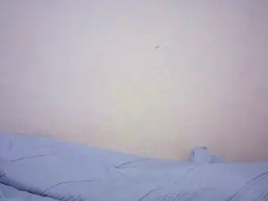 Cam4 Sex Cam of Hot_nophy