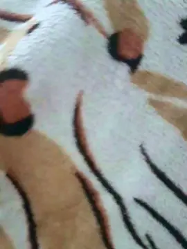 Cam4 Sex Chat of Cristalhotgirll
