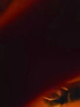 Cam4 Live Sex Cam of NicoySaki
