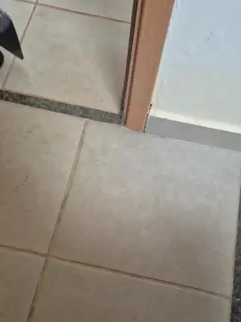 Cam4 Live Sex Cam of SrtaLuiza
