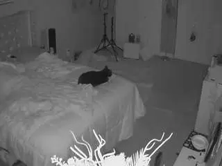 Camsoda Adult Webcams of voyeurcam-house-charleys-room