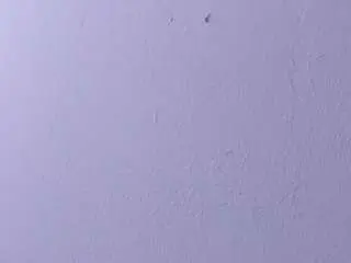scarletevanss from camsoda