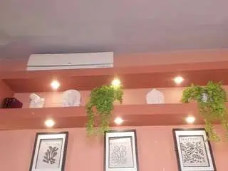 Camsoda Watch Live Sex Cams of sofiabennett