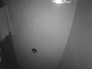 Camsoda Best Webcam of voyeurcam-casa-salsa-bathroom-11