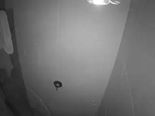 Camsoda Adult Webcams of voyeurcam-casa-salsa-bathroom-11