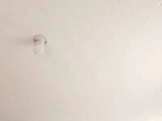 Camsoda Best live sex cam show of jaaadeee