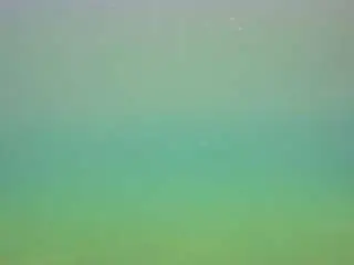 Camsoda Best Webcam of voyeurcam-casa-salsa-pool-1